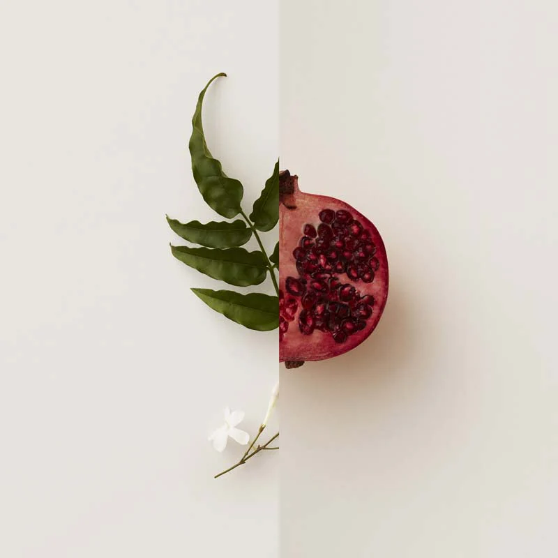 My Burberry Blush - Image 15